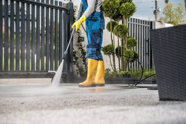 Best Sidewalk Pressure Washing  in Millport, AL