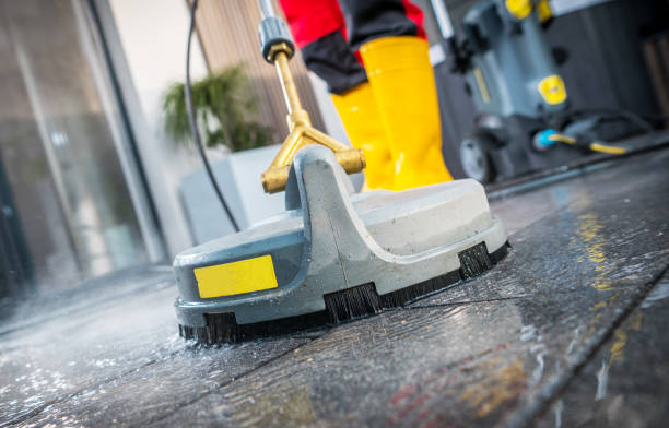 Best Exterior Home Cleaning  in Millport, AL