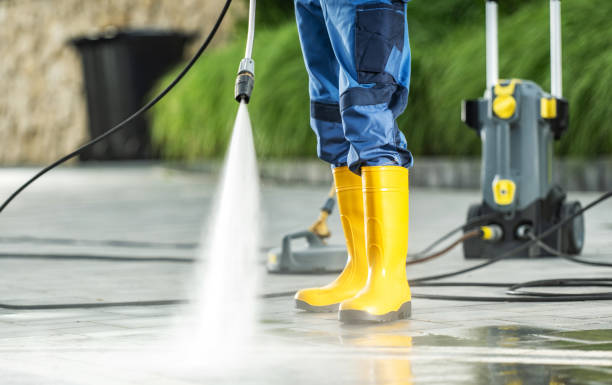 Best Roof Power Washing Services  in Millport, AL